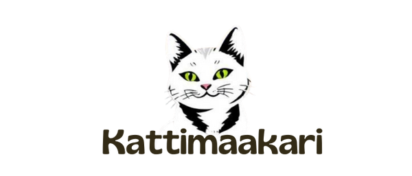 Kattimaakari