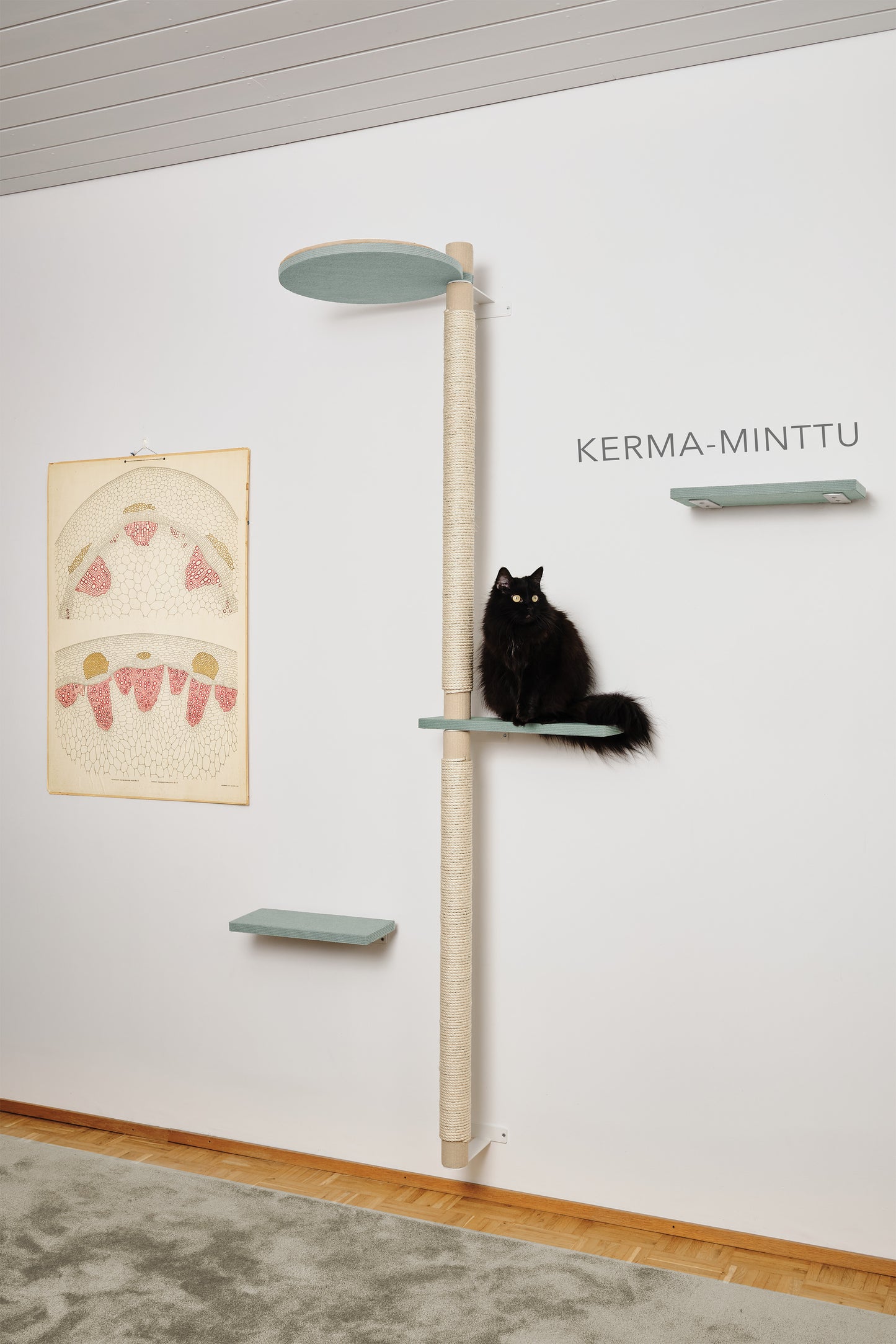 Kiipeilypuu kokonaisuus A