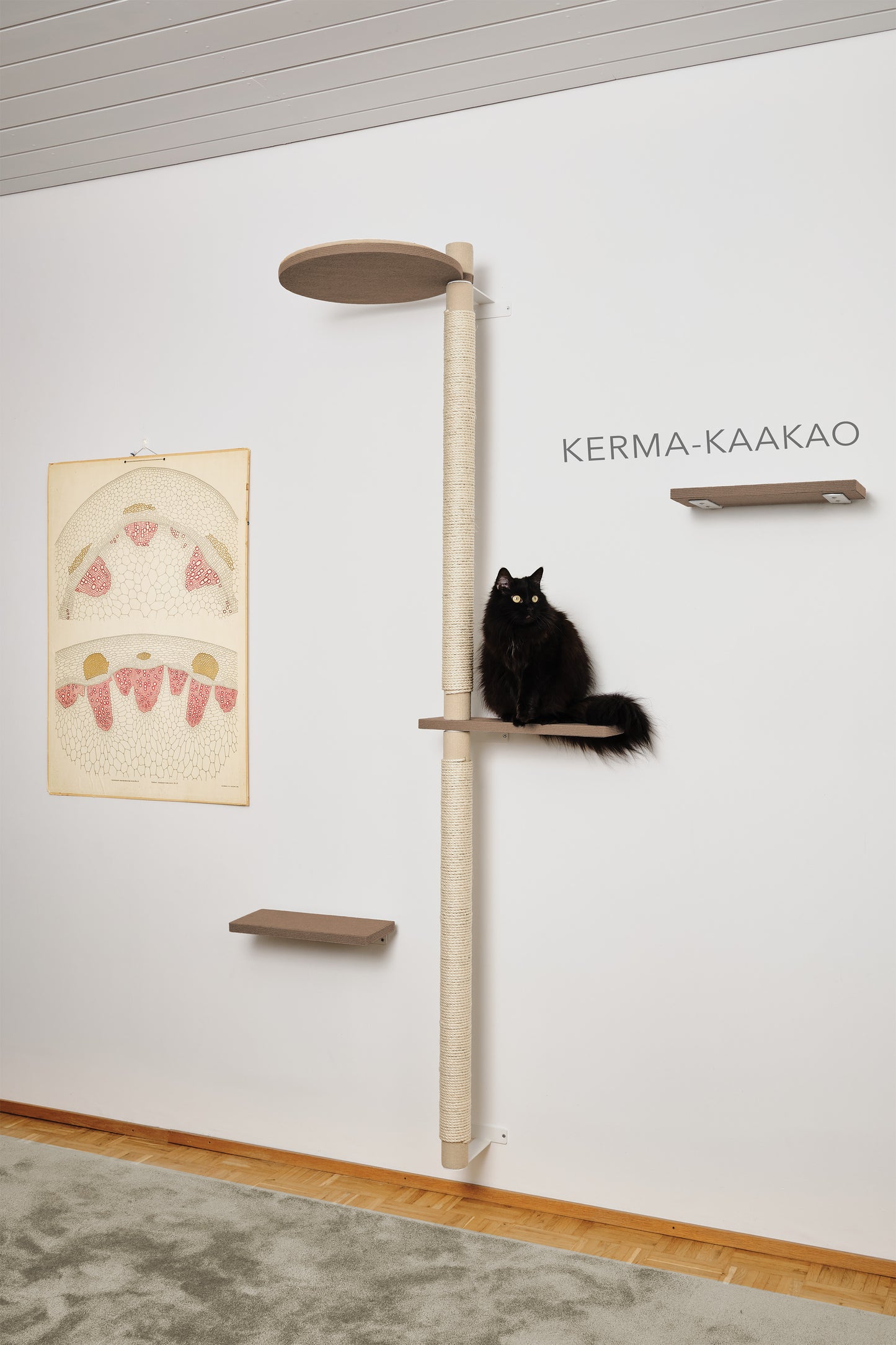 Kiipeilypuu kokonaisuus A