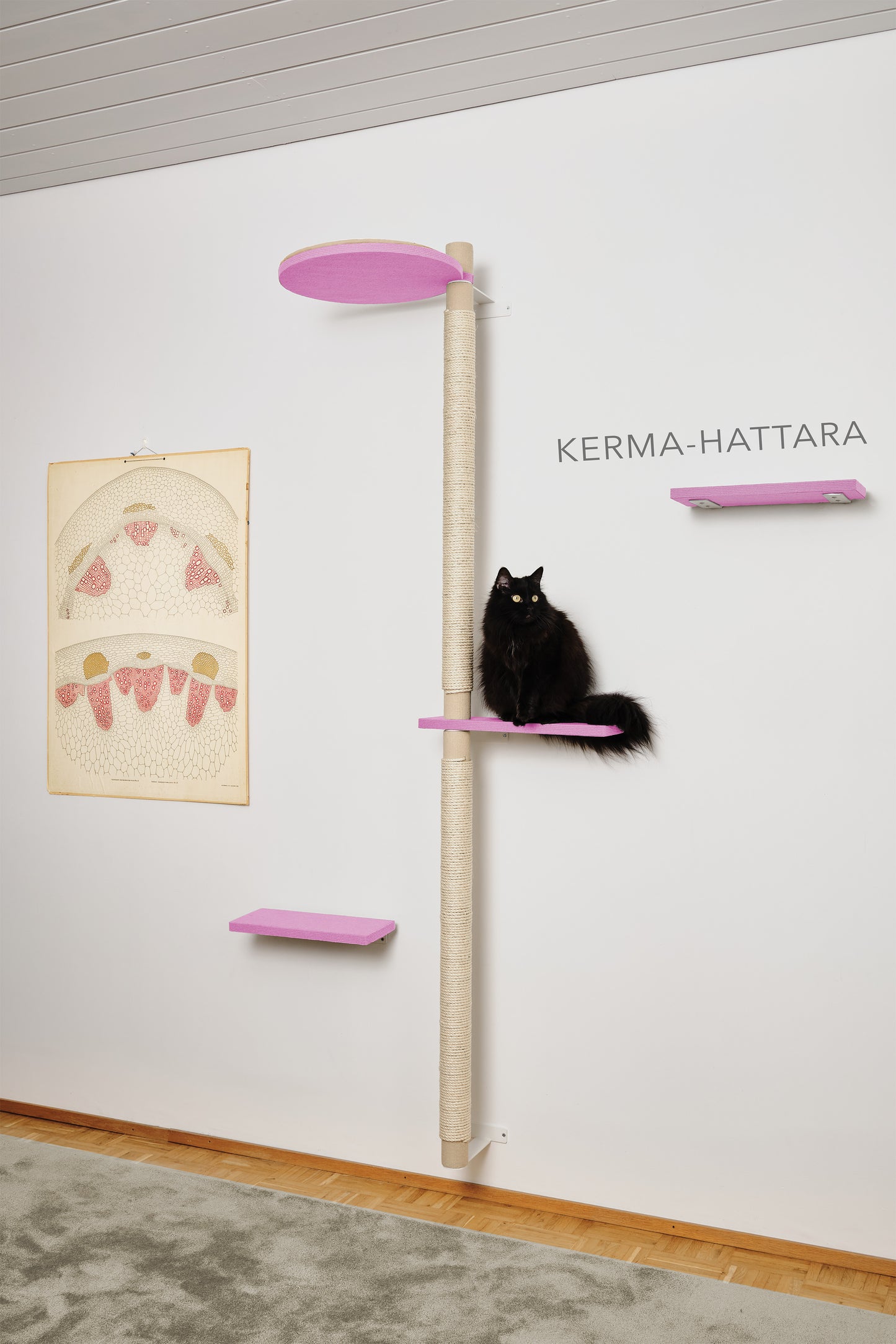 Kiipeilypuu kokonaisuus A