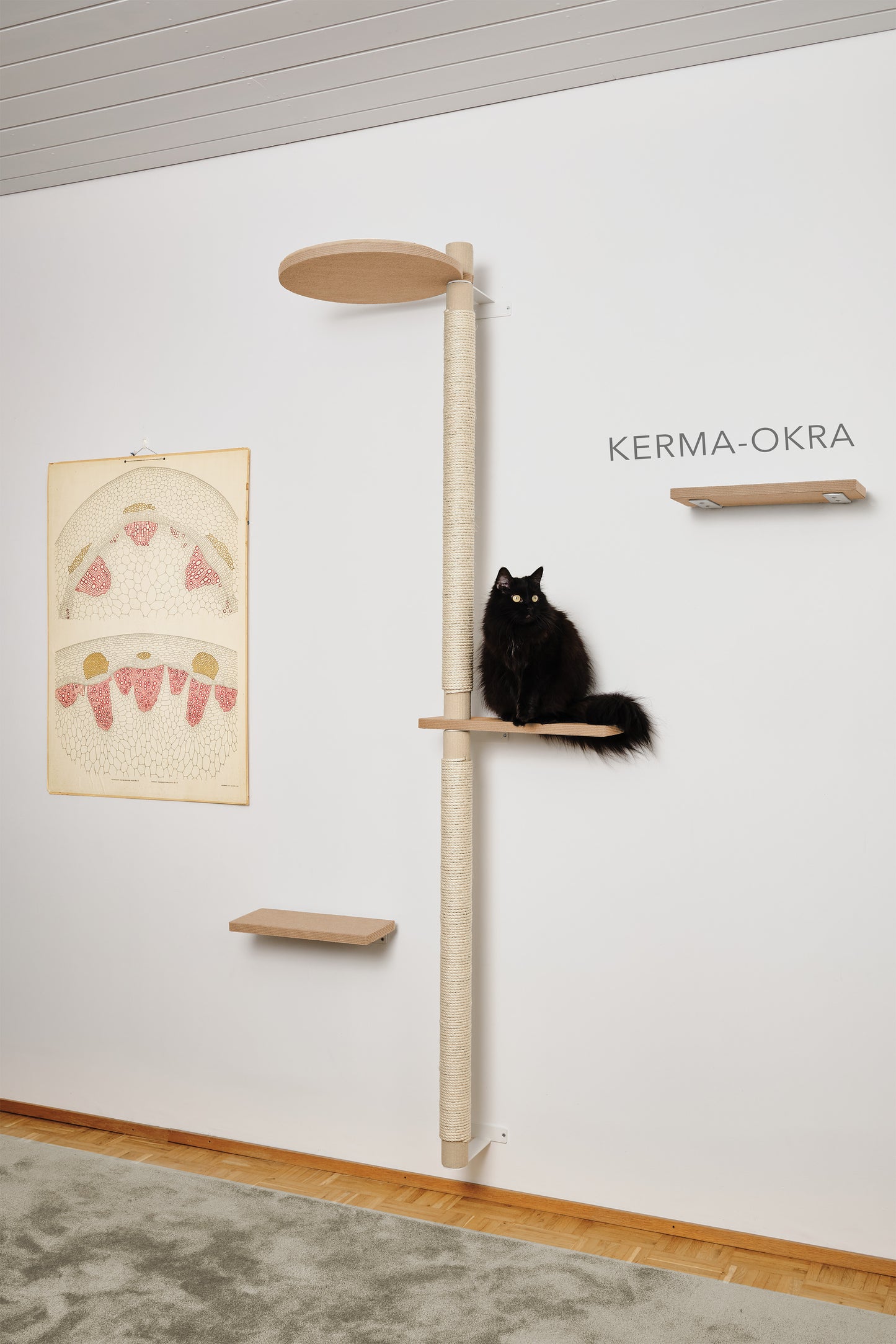 Kiipeilypuu kokonaisuus A